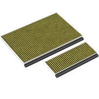 Viva CleanAir Plus Koolstoffilter 11041790 (2St.)