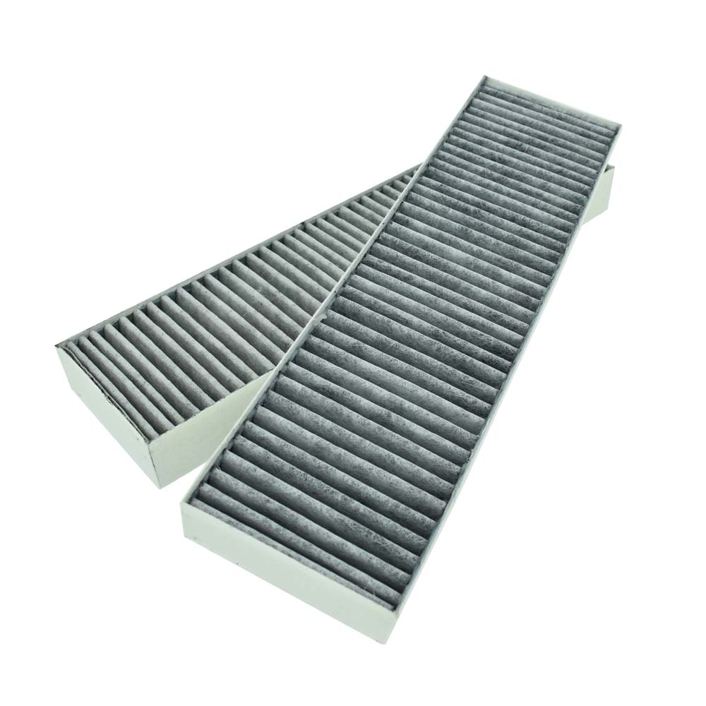 Grundig Koolstoffilter 165265001 (2st.)