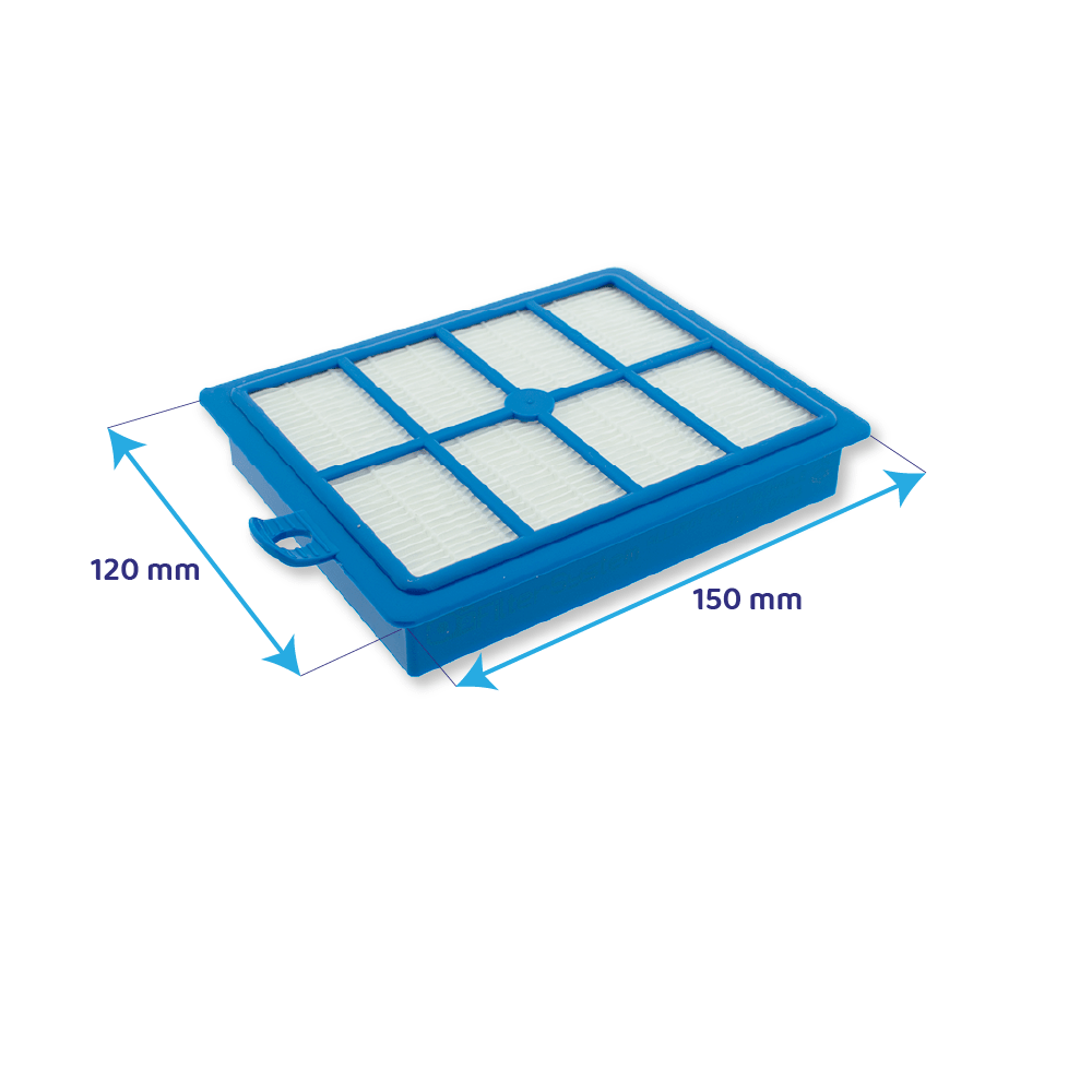 AEG Allergy Plus® Filter voor Stofzuiger AFS1W / ErgoSpace / UltraOne