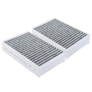 Koolstoffilter geschikt voor Miele DKF 31-P (2st.)