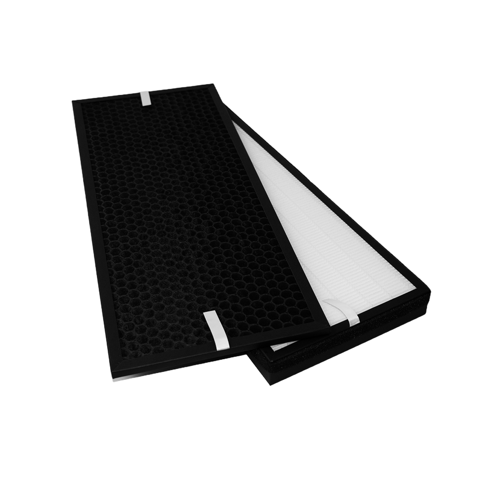 Filterset geschikt voor Rowenta XD6077F0 / XD6077 / XD6066 (2st.)