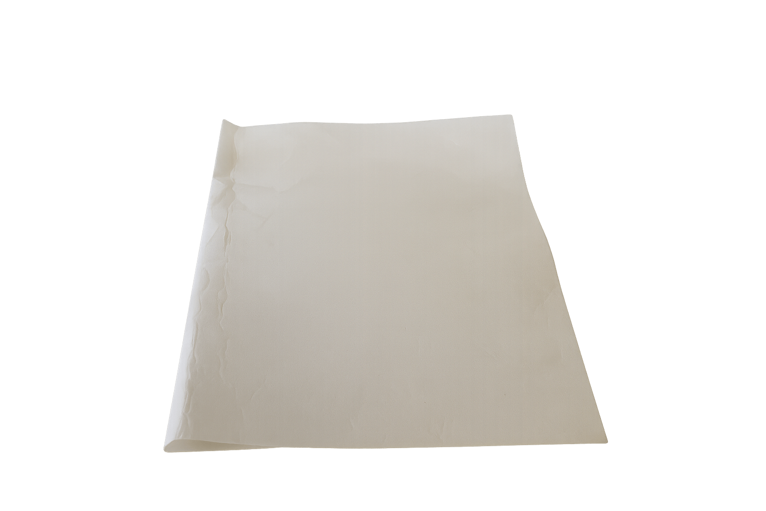 Faure Vetfilter 50237070003