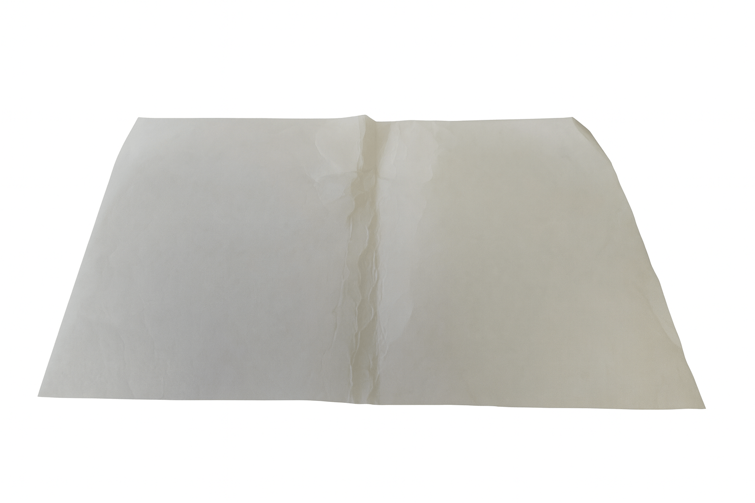 Faure Vetfilter 50237070003