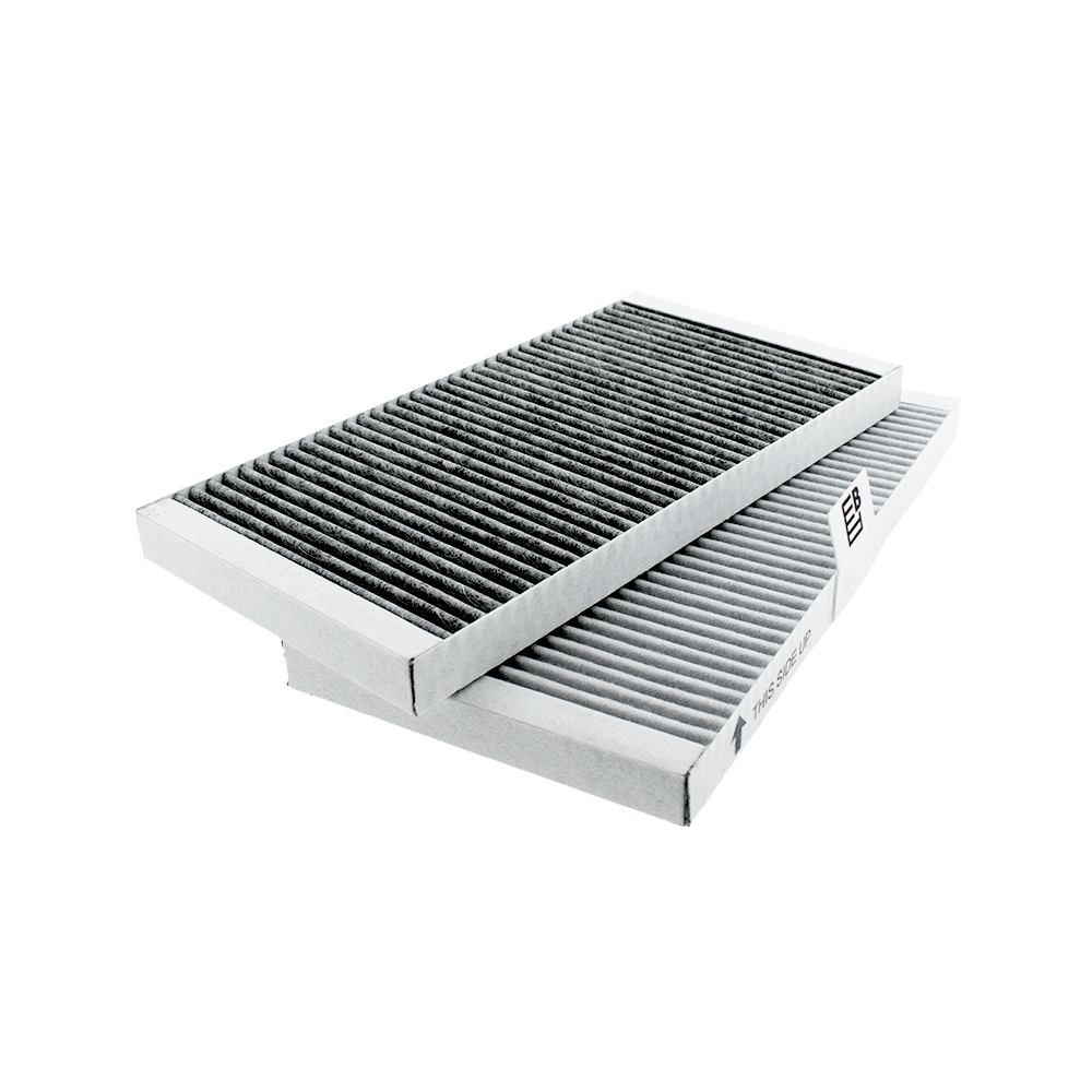 Gorenje Geur- en Fijnstoffilter HF3015 (2St.)