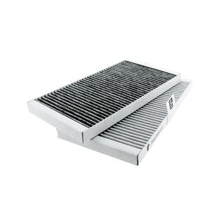 Gorenje Geur- en Fijnstoffilter HF3015 (2St.)