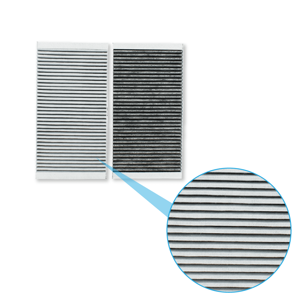 Gorenje Geur- en Fijnstoffilter HF3015 (2St.)