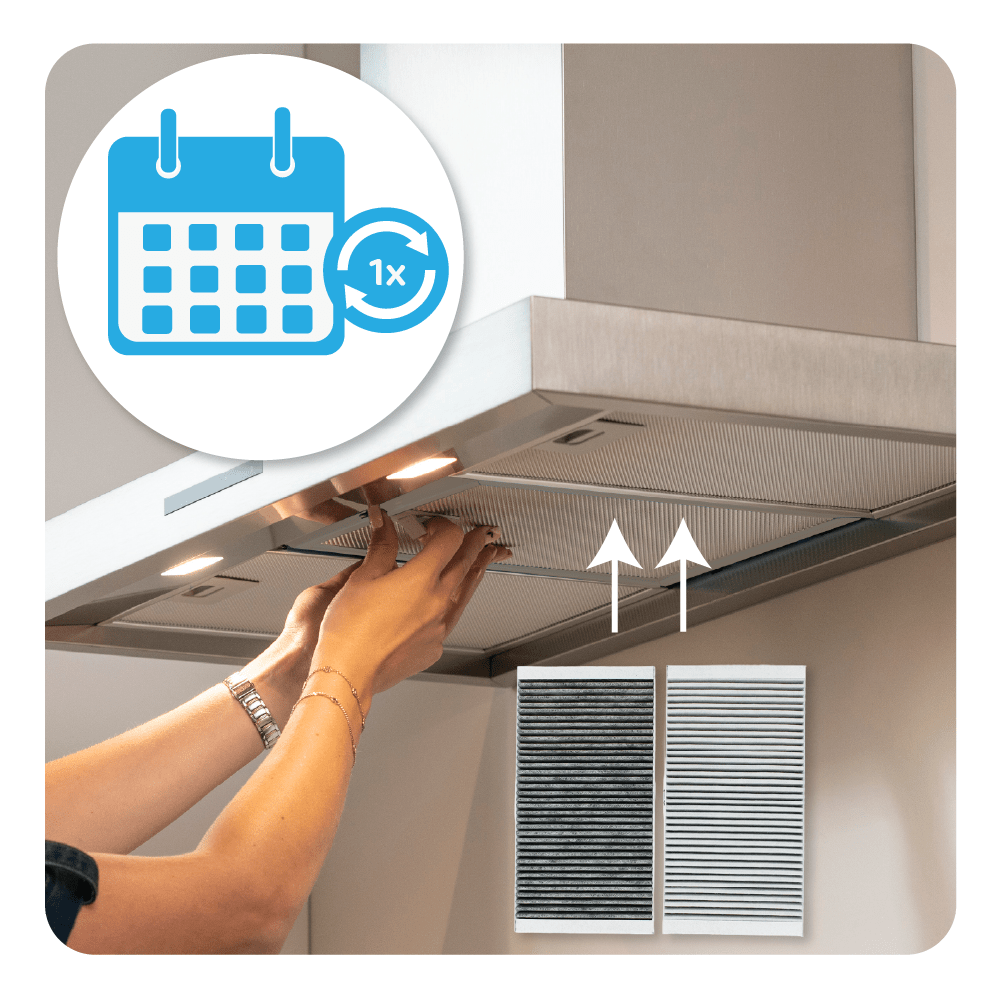Gorenje Geur- en Fijnstoffilter HF3015 (2St.)
