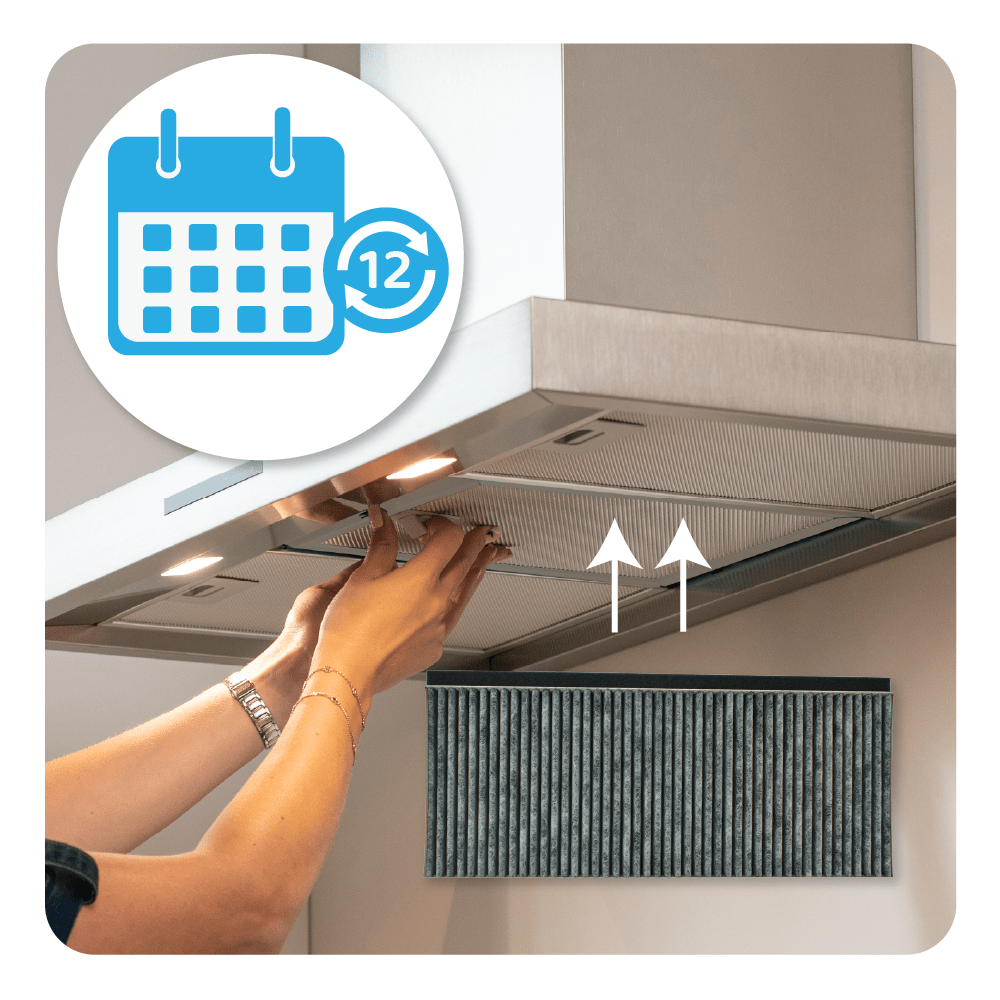 Constructa CleanAir Koolstoffilter 17006837