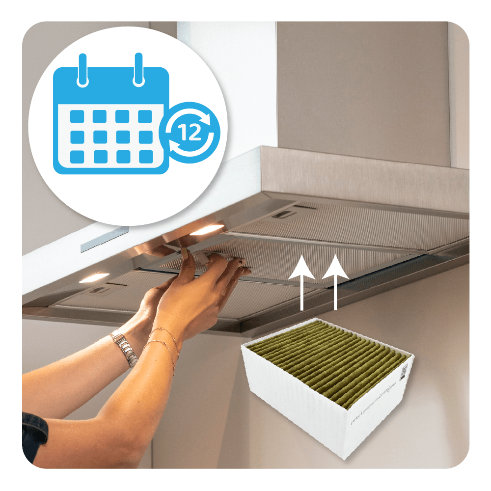 CleanAir Plus Koolstoffilter geschikt voor Constructa 11033934 / 11017314