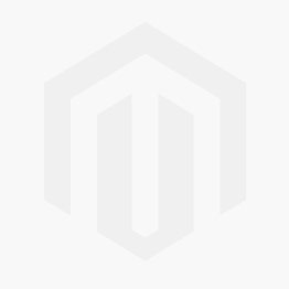 Rosieres Metalen Vetfilter